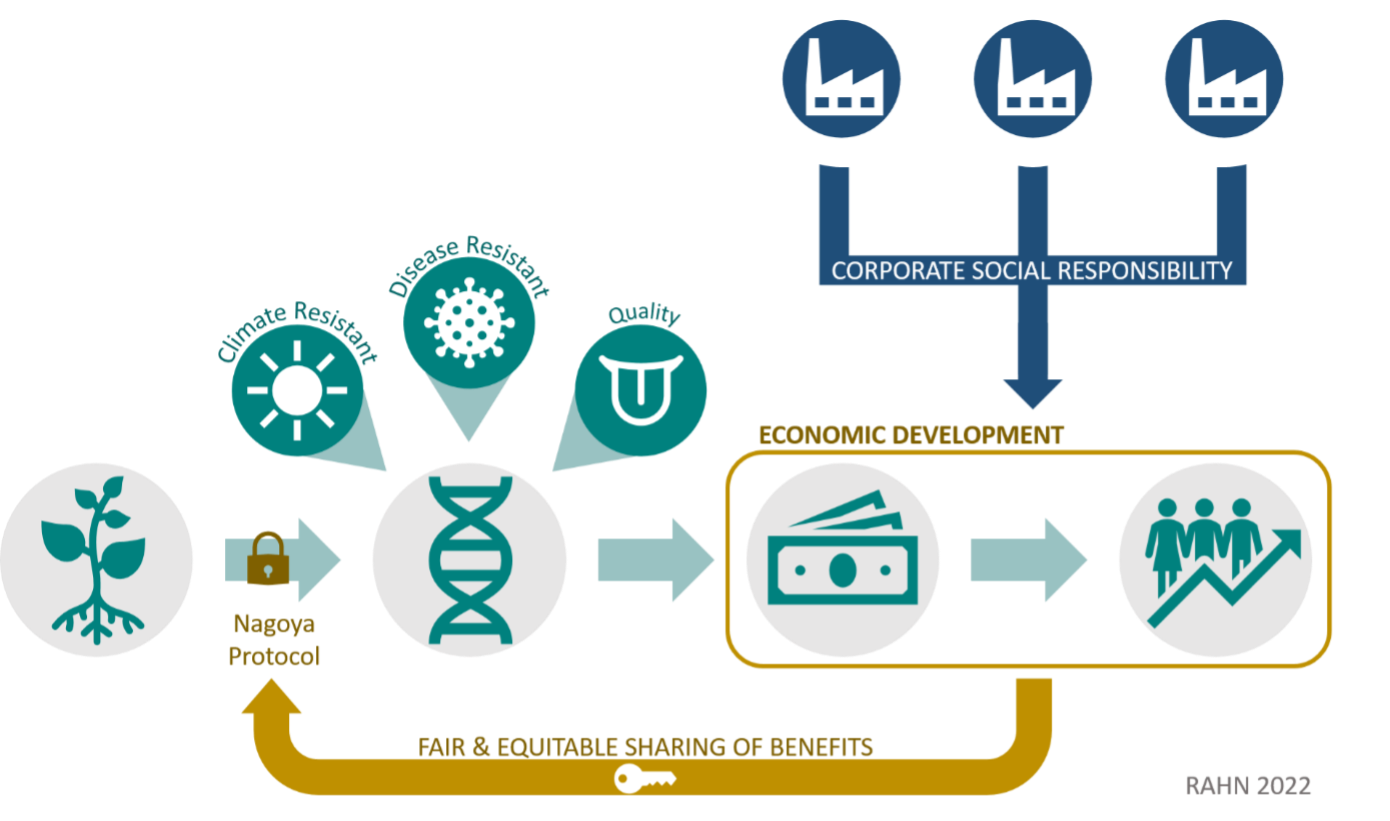 Coffee Knowledge Hub  Economics of Coffee Innovation: Part 2: Unraveling  The Paradox